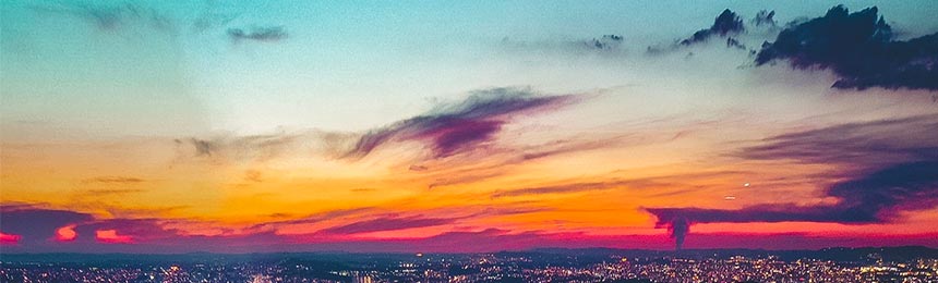 沂源茶虫网_沂源品茶